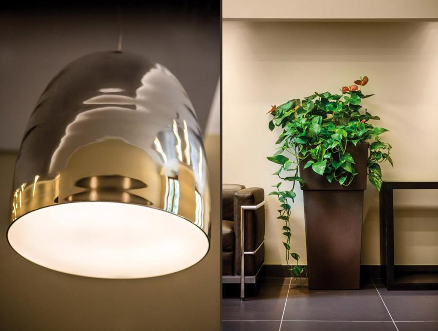 Hotel Il Cantico St. Peter Рим Екстер'єр фото